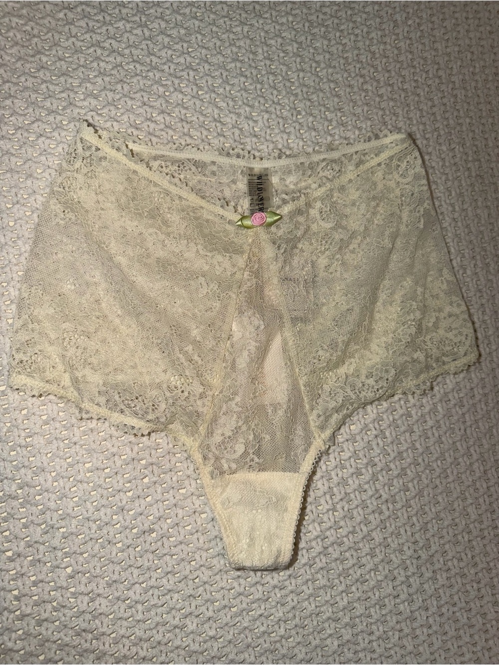 NWT free people Wild Lovers High-Waist Lace Cheeky Panties in Ivory with Rose 🌹